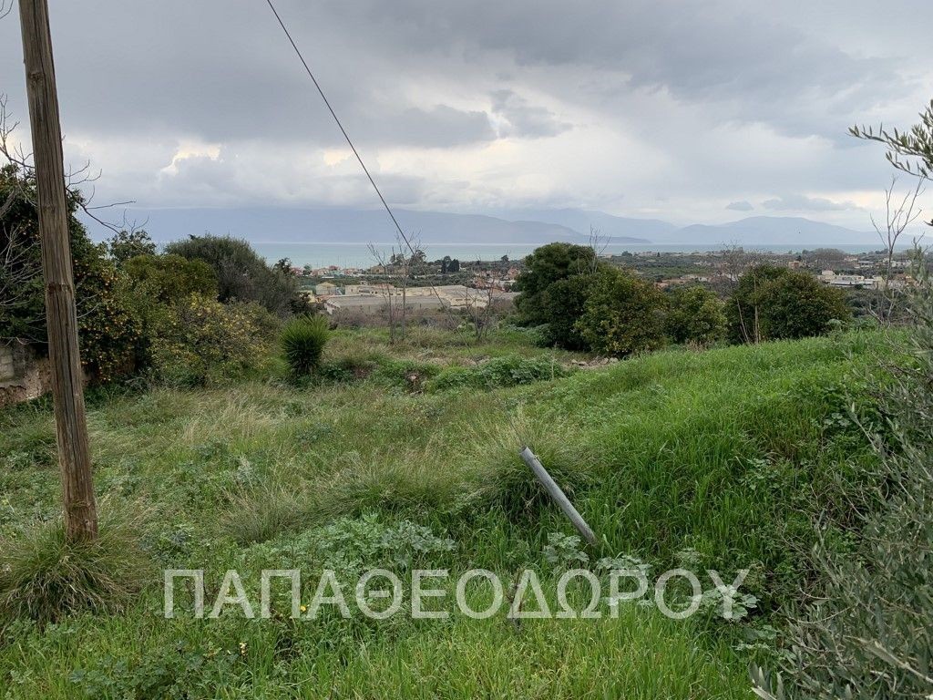 Οικόπεδο 1.400 τ.μ. προς πώληση, Αίγιο