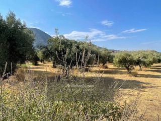 Οικόπεδο 2.000 τ.μ. για πώληση, Αχαΐα, Πάτρα-thumb-3