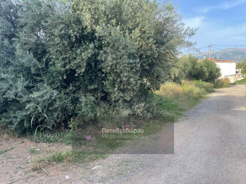 Οικόπεδο 200 τ.μ. προς πώληση, Ταραμπούρα