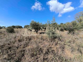 Land plot 800 sqm for sale