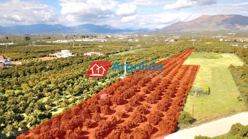 Αγροτεμάχια 6.150 τ.μ. προς πώληση, Αγία Τριάδα Μιδέας