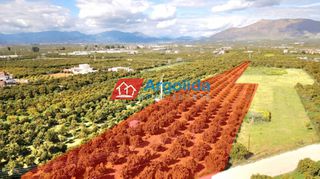 Αγροτεμάχια 6.150 τ.μ. προς πώληση, Αγία Τριάδα Μιδέας-thumb-4