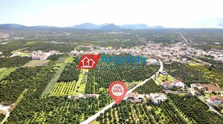 Αγροτεμάχια 6.150 τ.μ. προς πώληση, Αγία Τριάδα Μιδέας-thumb-11