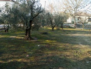 Οικόπεδο 1.372 τ.μ. προς πώληση, Καλά Δένδρα-thumb-8