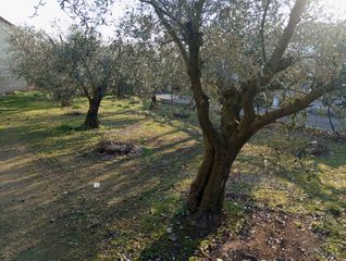 Οικόπεδο 1.372 τ.μ. προς πώληση, Καλά Δένδρα-thumb-11