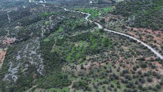 Οικόπεδο 29.870 τ.μ. για πώληση, Αργολίδα, Ερμιόνη-thumb-10