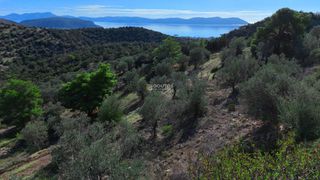 Οικόπεδο 29.870 τ.μ. για πώληση, Αργολίδα, Ερμιόνη-thumb-14
