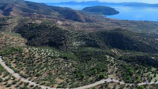 Οικόπεδο 29.870 τ.μ. για πώληση, Αργολίδα, Ερμιόνη-thumb-1