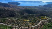 Οικόπεδο 29.870τ.μ. για πώληση-Ερμιόνη