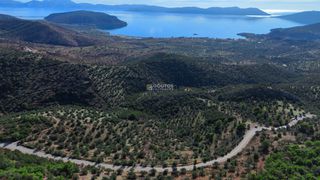 Οικόπεδο 29.870 τ.μ. για πώληση, Αργολίδα, Ερμιόνη-thumb-12