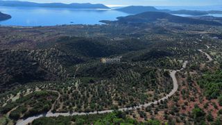 Οικόπεδο 29.870 τ.μ. για πώληση, Αργολίδα, Ερμιόνη-thumb-2