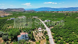 Οικόπεδο 796 τ.μ. για πώληση, Αργολίδα, Νέα Τίρυνθα-thumb-22