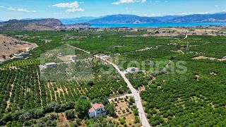Οικόπεδο 796 τ.μ. για πώληση, Αργολίδα, Νέα Τίρυνθα-thumb-2