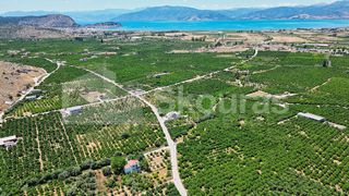 Οικόπεδο 796 τ.μ. για πώληση, Αργολίδα, Νέα Τίρυνθα-thumb-7