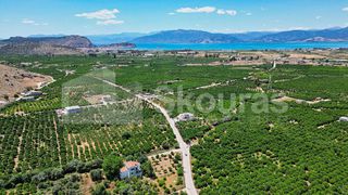 Οικόπεδο 796 τ.μ. για πώληση, Αργολίδα, Νέα Τίρυνθα-thumb-8