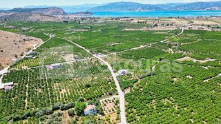 Οικόπεδο 796 τ.μ. για πώληση, Αργολίδα, Νέα Τίρυνθα-thumb-5