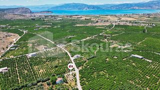 Οικόπεδο 796 τ.μ. για πώληση, Αργολίδα, Νέα Τίρυνθα-thumb-6