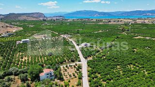 Οικόπεδο 796 τ.μ. για πώληση, Αργολίδα, Νέα Τίρυνθα-thumb-11
