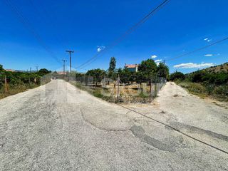 Οικόπεδο 796 τ.μ. για πώληση, Αργολίδα, Νέα Τίρυνθα-thumb-14