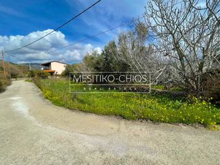 Οικόπεδο 262 τ.μ. προς πώληση, Αμάνη-thumb-1