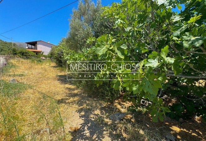 Οικόπεδο 262 τ.μ. προς πώληση, Αμάνη