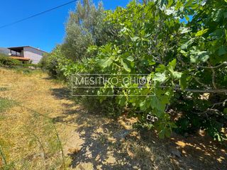 Οικόπεδο 262 τ.μ. προς πώληση, Αμάνη-thumb-6