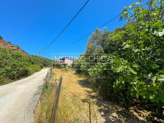 Οικόπεδο 262 τ.μ. προς πώληση, Αμάνη-thumb-7