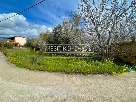 Οικόπεδο 196,47 τ.μ. για πώληση, Ν. Χίου, Χίος
