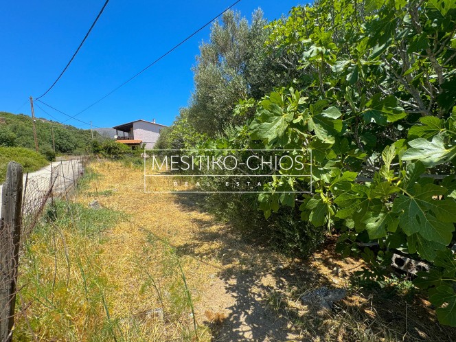 Οικόπεδο 262 τ.μ. προς πώληση, Αμάνη