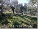 Parcel 3.500sqm for sale-Nea Ionia Volou » Kogiatika