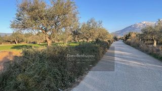 Οικόπεδο 1.518 τ.μ. για πώληση, Αχαΐα, Φαρές-thumb-7