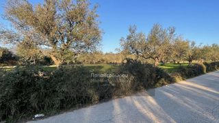 Οικόπεδο 1.518 τ.μ. για πώληση, Αχαΐα, Φαρές-thumb-8