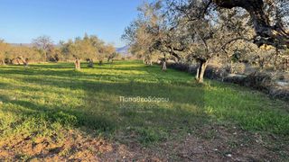 Οικόπεδο 1.518 τ.μ. για πώληση, Αχαΐα, Φαρές-thumb-4