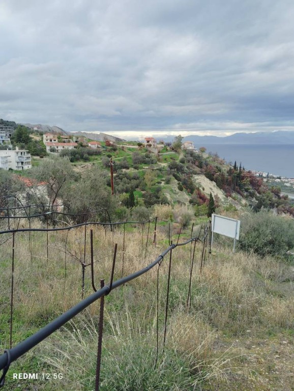 Οικόπεδο 1.598 τ.μ. πρός πώληση, Κορινθία, Ξυλόκαστρο