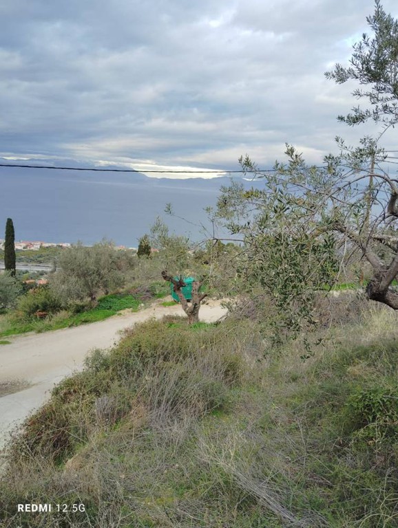 Οικόπεδο 1.598 τ.μ. πρός πώληση, Κορινθία, Ξυλόκαστρο