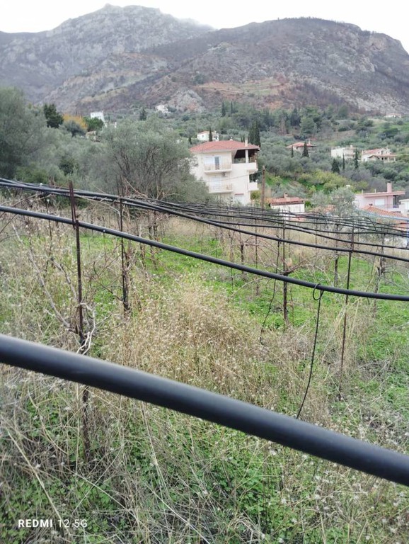Οικόπεδο 1.598 τ.μ. πρός πώληση, Κορινθία, Ξυλόκαστρο