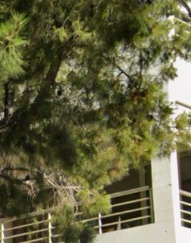 Maisonette 124sqm for sale-Voula » Pigadakia