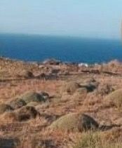Land plot 4.000sqm for sale-Serifos » Galani