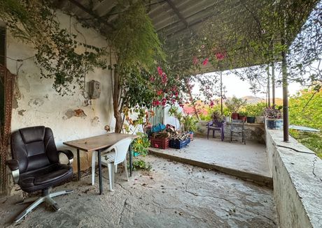 Μονοκατοικία 231τ.μ. για πώληση-Γεροπόταμος » Αχλαδές