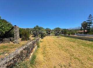 Οικόπεδο 650 τ.μ. προς πώληση, Αμάνη-thumb-13