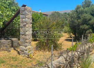 Οικόπεδο 650 τ.μ. προς πώληση, Αμάνη-thumb-15
