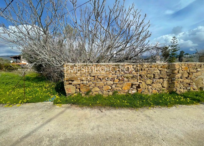 Οικόπεδο 650 τ.μ. προς πώληση, Αμάνη