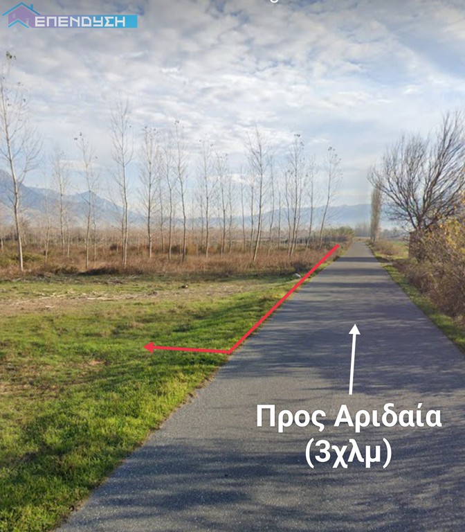 Αγροτεμάχια 6.253 τ.μ. πρός πώληση, Πέλλα, Αριδαία