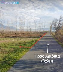 Αγροτεμάχια 6.253 τ.μ. για πώληση