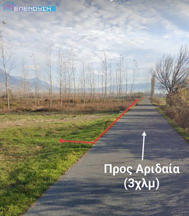 Αγροτεμάχια 6.253 τ.μ. για πώληση, Πέλλα, Αριδαία