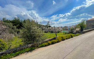 Οικόπεδο 446,30 τ.μ. προς πώληση, Αμάνη-thumb-5