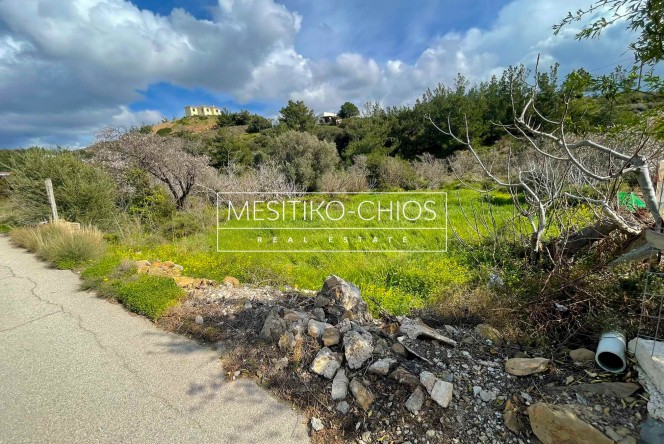 Οικόπεδο 446,30 τ.μ. προς πώληση, Αμάνη