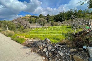 Οικόπεδο 446,30 τ.μ. προς πώληση, Αμάνη-thumb-3