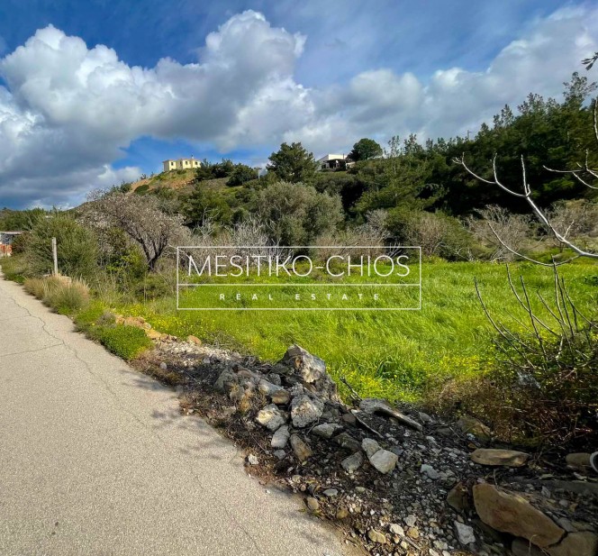 Οικόπεδο 446,30 τ.μ. προς πώληση, Αμάνη