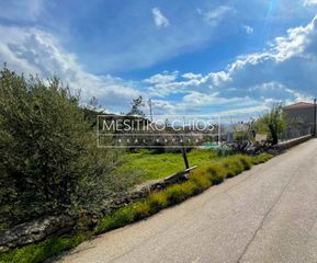 Οικόπεδο 446,30 τ.μ. προς πώληση, Αμάνη-thumb-6